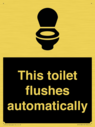 this-toilet-flushes-automatically~